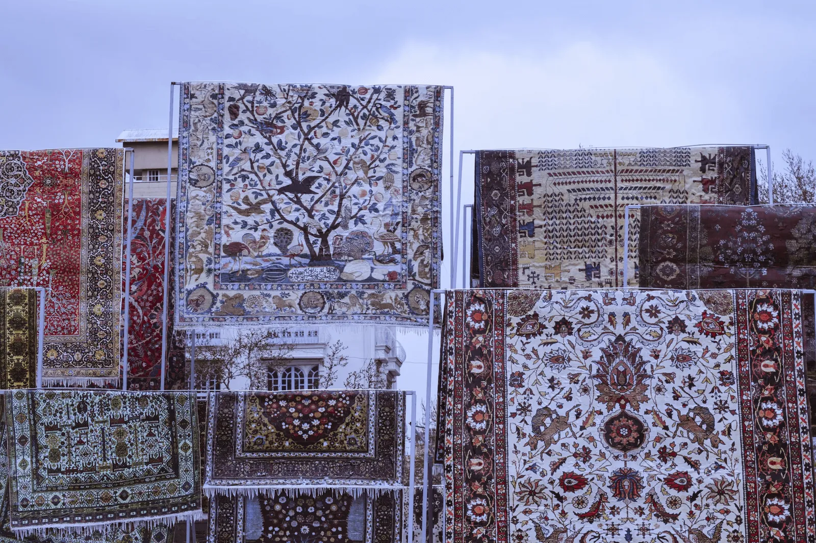 Tapis orientaux exposés — collection Tapis Toulouse